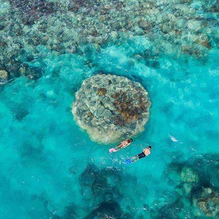Shingley Beach Resort - Whitsundays Airlie Beach Eksteriør bilde